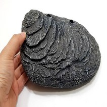 뉴런 거북이육지 거북이쉼터 대사이즈, 1개