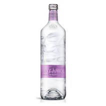 브랜드없음 [산타니올] 스페인 프리미엄 탄산수 750ml, 단품없음