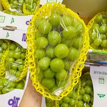 샤인머스켓1kg 2kg 2수 3수 4수 실속형 특등급, 특등급 샤인머스켓2kg(3수)