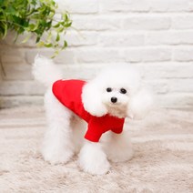 펫디자인 싱글반팔티셔츠 3colors 강아지옷 강아지티셔츠, 레드