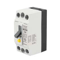 누전차단기 TBE 32A(TCE 32AH)태성/ 2P 30A 2.5KA, 1개