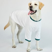 럭키페터 링거 강아지 옷 소형견 대형견 티셔츠 화이트 시리즈, 화이트/그린