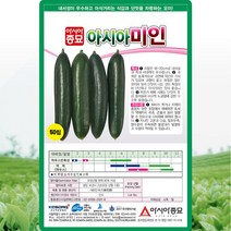 아시아종묘 미인오이 씨앗 오이 씨 종자 50립, 1개