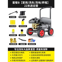 고압세차기 고압세척기 세차건 검은 고양이 세인트 일반 자동차 세탁기 가정용 220V 물총 워터 펌프 브러시 유물 강력한 바닥 잡아, 8. 패키지 B [가정용/세차/바닥세척/사육] 22m