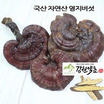 국산 자연산 영지버섯300g, 300g