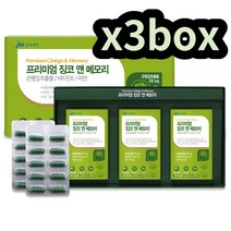 중외제약 징코앤메모리 뇌영양제 머리좋아지는약 3box 기억력에좋은 청소년 시니어 뇌건강 두뇌건강