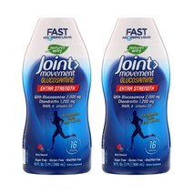 1+1 네이쳐스웨이 액상 글루코사민 콘드로이친 MSM 조인트 480ml, 2개