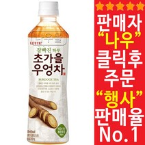 롯데칠성음료 잘빠진 하루 초가을 우엉차, 500ml, 18개