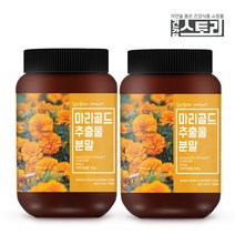 건강스토리 미국산 마리골드추출물분말 100g X 2통 메리골드차, 1통