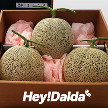 [ 고당도 kings 메론 ] 크기부터 남다른 머스크 메론 3kg 6kg 8kg 선물세트 멜론 과일 세트 고창 곡성 창원 등 산지출하, 1박스, 머스크 메론 멜론 선물세트 8kg(5-6과) 외피포장