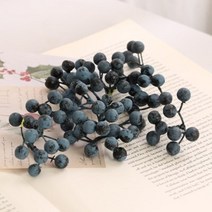 산머루 모형 10P