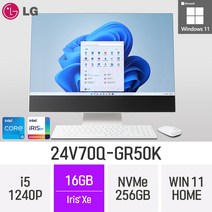 LG전자 24V70Q-GR50K 24인치 인텔 12세대 i5 Iris Xe Win11 Home 사무용 인강용 재택근무용 일체형 PC, 256GB, 16GB