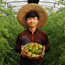 과일꾼 정품인증 대저 짭짤이 토마토, 02. 대저 짭짤이 토마토 2.5kg 소과