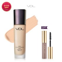 VDL [VDL] 엑스퍼트 퍼펙트 핏 파운데이션 세트, V02, 선택완료
