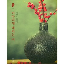 이마리에 내리는 비:신태순 수필집, 경남, 신태순