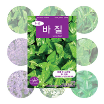 허브 씨앗 17종 모음, 차이브 400립, 1개