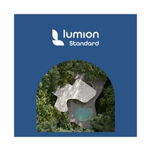 Lumion Standard 기업용 / 신규(ESD) 루미온 스탠다드 / 1년 구독 / 3년 구독 / 택 1