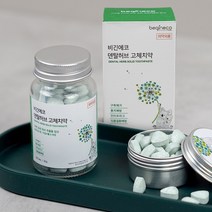 비긴에코 덴탈허브 고체치약 60정 유리병 씹는치약 의약외품 가글대용 간편휴대, 1개, 42g