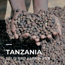 [생두] 탄자니아 음베야 AA FAQ+ 내추럴 1kg
