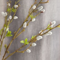 [바보사랑] 버들강아지가지 95cm(조화)