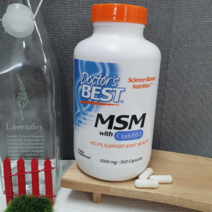 Doctors Best 닥터스 베스트 식이유황 MSM with OptiMSM 1000mg 360캡슐, 360정, 1개