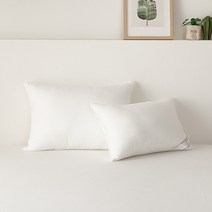 SESA 다운필 소프트2 베개솜 50X70, 없음