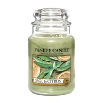 양키캔들 라지자 세이지앤시트러스 아로마 향초 양초 실내방향제, 양키캔들 LARGE JAR