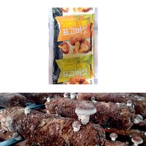 산해랑 표고버섯 진액즙 1박스(100ml X 30포), 30개, 30개, 100ml