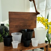 가드닝 행잉 포트화분 그린색 1호 16x12cm, 쿠팡 아이템온 본상품선택