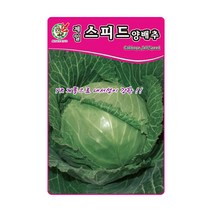 제일 스피드양배추 씨앗 200립
