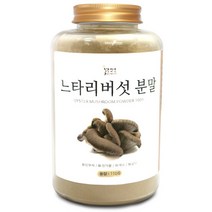 드랍쉽 느타리버섯 분말(국산) 110g(플라스틱통) 버섯 가루 선식 천연조미료, 1개