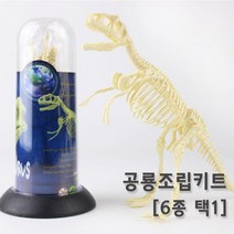 공룡뼈 화석 모형 조립 피규어 장식품 교구 방과후 연구 관찰 과학 수업 실험 학습 초등 돌봄, 맘모스