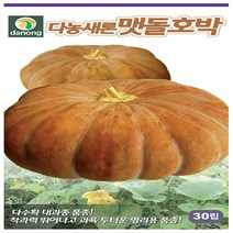 맷돌호박 씨앗 30립