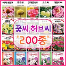 꽃씨 200종 꽃씨앗 꽃씨몰 다년생 월동 꽃 씨앗 세트 야생화 종자 / 코스모스 국화 제라늄 구절초 겹접시꽃 버들마편초 금어초 양귀비씨앗 메리골드 스토크 금어초 네모필라 꽃잔디, 192. 타임(백리향) 300립