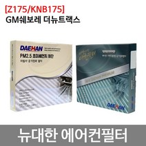 GM 더뉴트랙스 에어컨필터 뉴대한 항균 P175/KNB175, 뉴대한 항균필터 Z175
