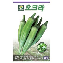 눈개승마 1g - 씨 씨앗 눈개승마씨 눈개승마씨앗 나물 나물씨앗 채소씨 채소씨앗 능개승마, 05_다농_오크라(50립)