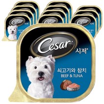 시저 애견간식 캔, 소+참치, 100g, 12개