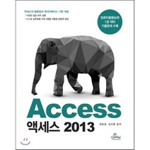 액세스(Access) 2013:컴퓨터활용능력 1급 대비 기출문제 수록, 글로벌