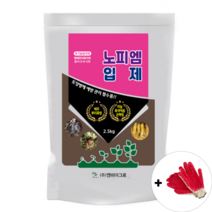 성공팜 친환경 토양살균제 역병 탄저병 배추 뿌리혹병 마늘 흑색썩음 균핵병 노피엠입제, 노피엠입제 (2.5kg), 2500g, 1개