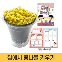 콩나물재배기 콩나물 키우기세트 관찰기록지 포함