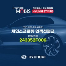 현대모비스 체인스프로켓 인젝션펌프 (243352F000)