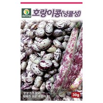 호랑이강낭콩(넝쿨성) 씨앗 30g 다농