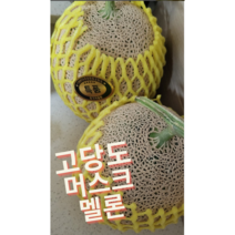 고당도 머스크멜론 4kg 5kg 7.5kg 허니멜론 메론 국산 꿀당도 여름 제철과일 꿀메론 칸탈로프멜론 메론 멜론 머스크메론 과일 머스크멜론 과일메론 매론 melon, 1개