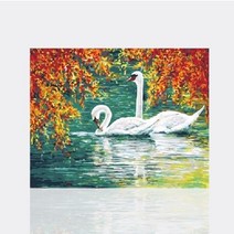 수재샵 보석십자수 백조의호수 50X40cm 3D전체 라운드2.8+AB큐빅