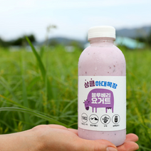 계룡산하대목장 1등급 원유로 만든 숲속 블루베리요거트 500ml 4병
