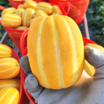 [산지직송] 성주 꿀 참회 2kg 3kg 5kg 소과 로얄과 랜덤 가정용 선물용, 3kg (랜덤), 1개