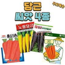 씨앗팜 당근 씨앗 4종 세트 홍심5촌당근 노랑당근 자색당근 미니당근 손가락당근 씨앗 종자 당근씨, 1세트