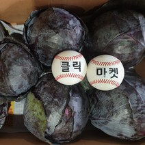 클릭마켓 적채 적양배추 1통 샐러드야채 샐러드채소 용, 1개