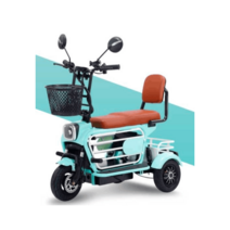 세발전기자전거 가성비 자토바이 삼륜 전동 성인용, 상세 페이지 참고, 10A 배터리40km밝은 녹색48V