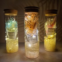 메나스타 LED 꽃유리병 무드등 특별한 프리저브드플라워 말린 안개 꽃다발 여자친구 생일 기념일 선물 미니 드라이플라워 유리돔 보관함, 2.오렌지
